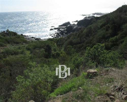Imagen 4 de 7 de Sitio En Venta En Zapallar