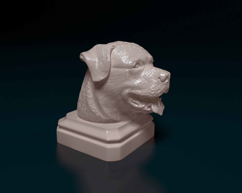 Imponente Cabeza De Rottweiler: Decoración Única