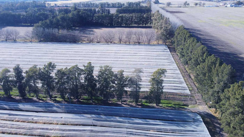 Venta De Campo 15 Hectareas En Lima Zarate Permuta