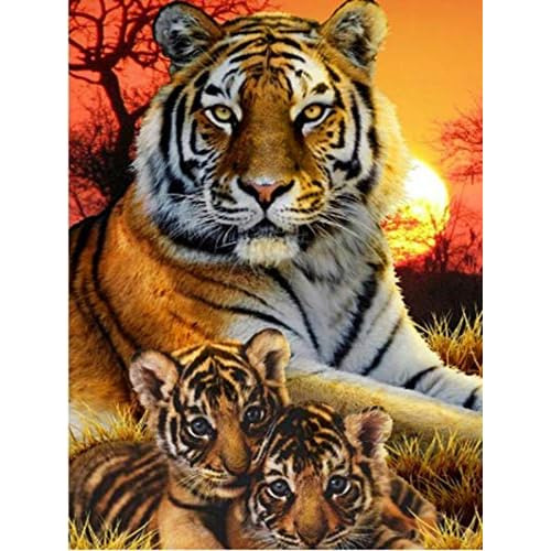 Kit De Pintura De Tigres 5d Taladro Completo, Kits De P...