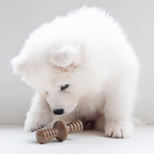 Imagen 2 de 10 de Hueso Benebone Puppy Maplestick/bacon Zag 2-pk Juguete Perro