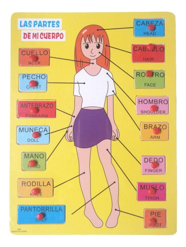 Juego De Encaje Puzzle Cuerpo Humano Anatomía Niño-niña