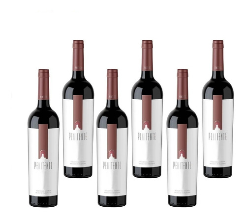 Caja X 6 - Cavas La Capilla Penitente Malbec/ Cabernet Franc