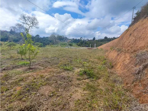 Lote En Rionegro Vereda La Playa