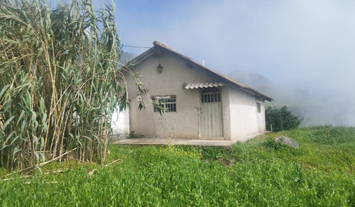 Imagen 6 de 8 de Vendo Finca En Yacudel, Area 21330 M2 Con Casa De Campo