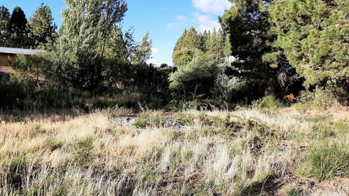 Imagen 12 de 28 de Terreno - Dina Huapi. 1.109 M2 En Esquina Con Gran Frente, Cecado, Plano Y Arbolado