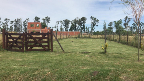 Imagen 6 de 9 de Lote Ideal Para Desarrollo Comercial,