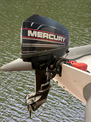 Gomon Acuamar 330 C/ Johnson 10hp