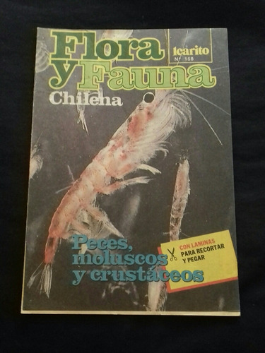 Revista Icarito N°158 Flora Y Fauna Chilena. L