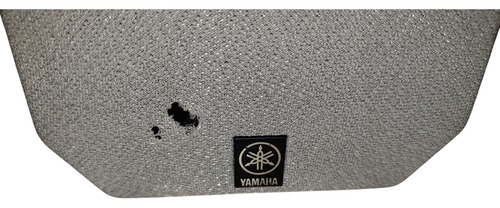 Bocinas Yamaha Ns-b40 Y Nx-e270 Teatro En Casa Negro