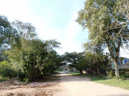 Imagem 4 de 10 de Terreno - Belem Novo - Ref: 226041 - V-226041