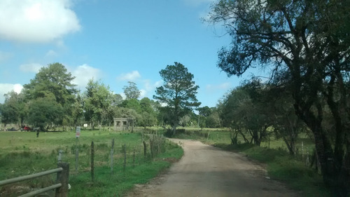 Imagem 12 de 30 de - Mch-0025