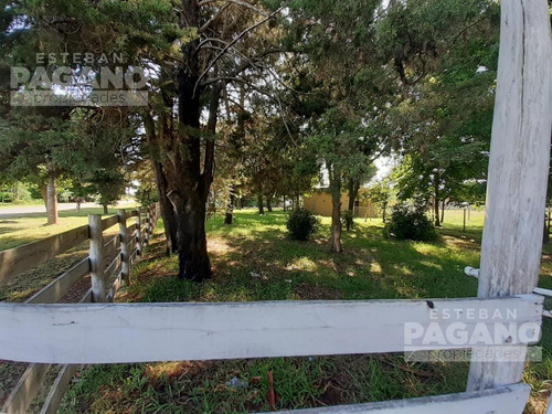 Imagen 4 de 18 de Terreno - La Plata