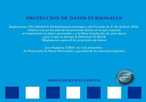 ProtecciÃÂ³n de datos personales. Esquemas, de Burzaco Samper, María. Editorial Dykinson, S.L., tapa blanda en español