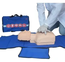 Comprar Torso Humano Para Treino De Rcp Adulto E Infantil