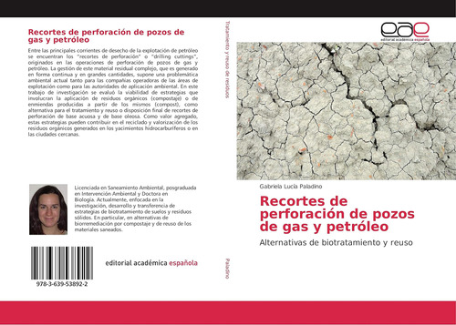 Libro: Recortes De Perforación De Pozos De Gas Y Petróleo: A