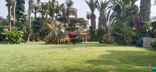 Palmeras De Condorhuaca Eventos Full Day 3000mts2.