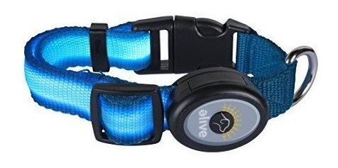 Collar De Perro Ajustable Con Luz Led