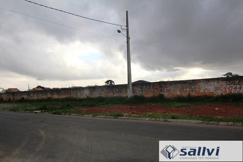 Imagem 8 de 9 de Terreno Para Alugar - 01278.006