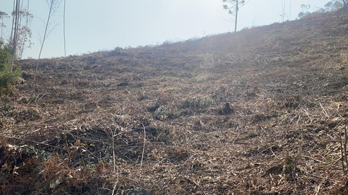 Imagem 11 de 14 de 34ei Terreno Igaratá Com Entrada Apenas De $ 5 Mil
