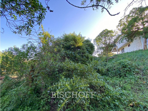 Venta De Lote En Ostende Calle Moreno