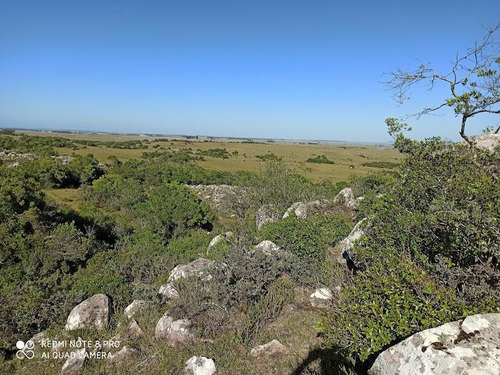 Se Venden 236 Hectáreas, Sobre Ruta 7, Entre Batlle Y Ordóñez Y Valentines. Campo De Sierra, Con Aptitud Ganadero Forestal.