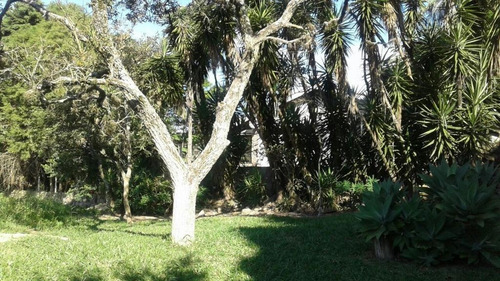 Imagem 7 de 18 de Chácara Com 7 Dormitórios À Venda, 24000 M² Por R$ 2.200.000,00 - Chácara Alpina - Valinhos/sp - Ch0135