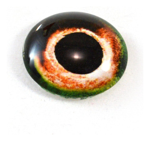 25 mm Pez Glass Eye  1 inch Cabujon Para Taxidermia O Joya