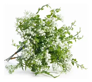 Ixofilas En Ramo! Gypsophila! Isofila! X 5 Ramos