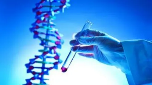 Test De Paternidad En El Embarazo, Adn Prenatal No Invasivo