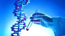 Comprar Test De Paternidad, Hijo Y Supuesto Padre Adnlab, Adn
