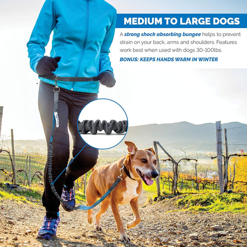 Correa De Perro Manos Libres Para Correr Que Hace Una Cin...