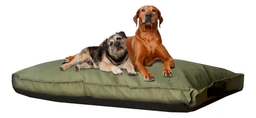 Camas rigidas para 2025 perros