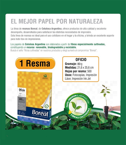 Imagen 4 de 8 de Resma Oficio Boreal 80grs X10 Unidades Distribuidor Oficial