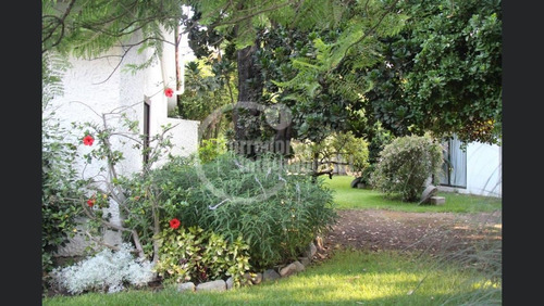 Casa En Venta De 6 Dorm. En Olmué
