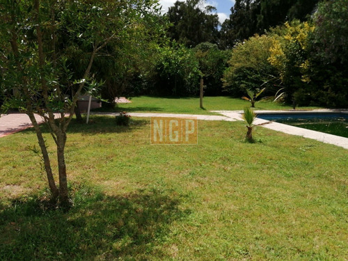 Imagen 4 de 17 de Casa En Con Piscina Zona Tio Tom Punta Ballena