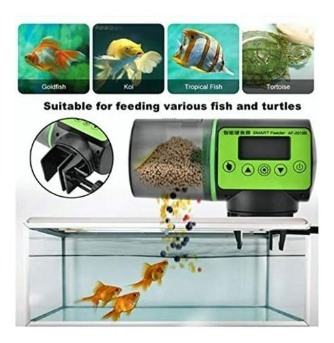 Dispensador Automático De Peces De Acuario Alimentador De Pe
