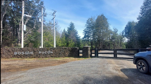 Venta Parcela Bosque Pucón Los Nevados