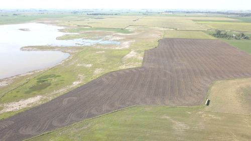 Imagen 7 de 8 de Campo En Venta En F. Madero - Agricola /ganadero