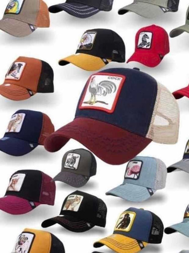 Paquete De 5 Gorras Modelos Variedad