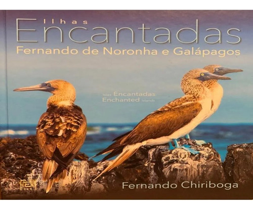 ILHAS ENCANTADAS / BOOKMIX, de Fernando. Editora BOOKMIX COM. DE LIVROS EIRELI, capa mole em português