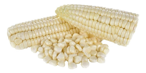 Maíz Blanco Criollo Para Siembra O Consumo 10 Kg