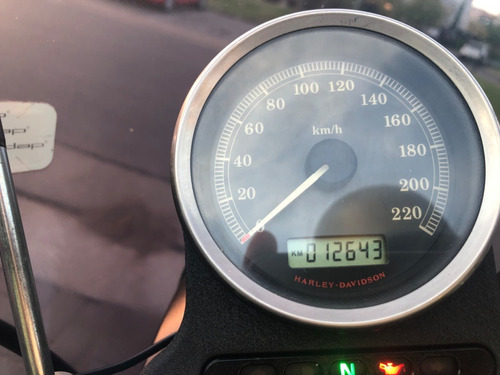 Harley-davidson Xl 883 Iron