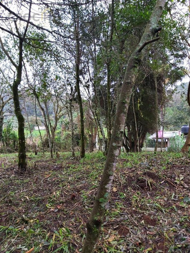 Terreno En Ven Ta En Xalapa Zona San Andres Tlalnelhuayocan