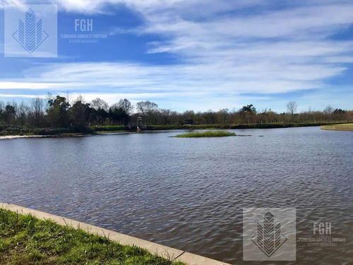 Imagen 2 de 30 de Lote Amarra Naudir, Directo Con Salida Al Río Luján