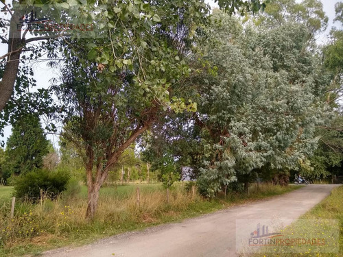 Imagen 5 de 6 de Terreno - Villa Parque Sicardi