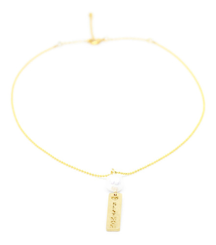 Imagen 1 de 1 de Collar Chapa De Oro Placa Best Mom