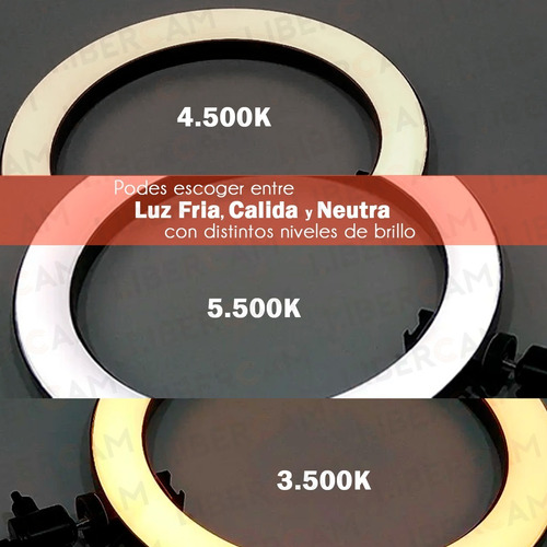 Aro Anillo Selfie Luz Led Trípode 1.88m Ring Light Celular