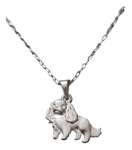 Collar Cadena Perro Cavalier Mujer Niños Plata 925 + Caja Re