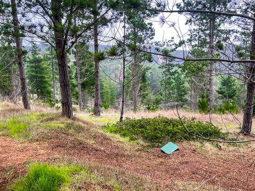 Sitio En Venta En Loteo Alto Boyeruca, Boyeruca